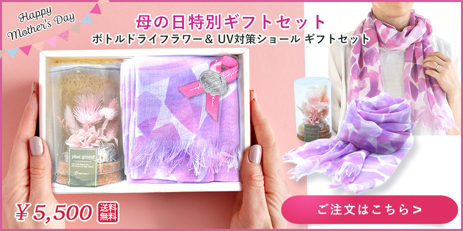 オトクなセット