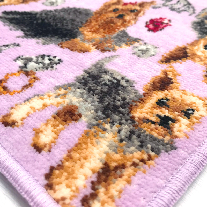 EjPetit ヨークシャー