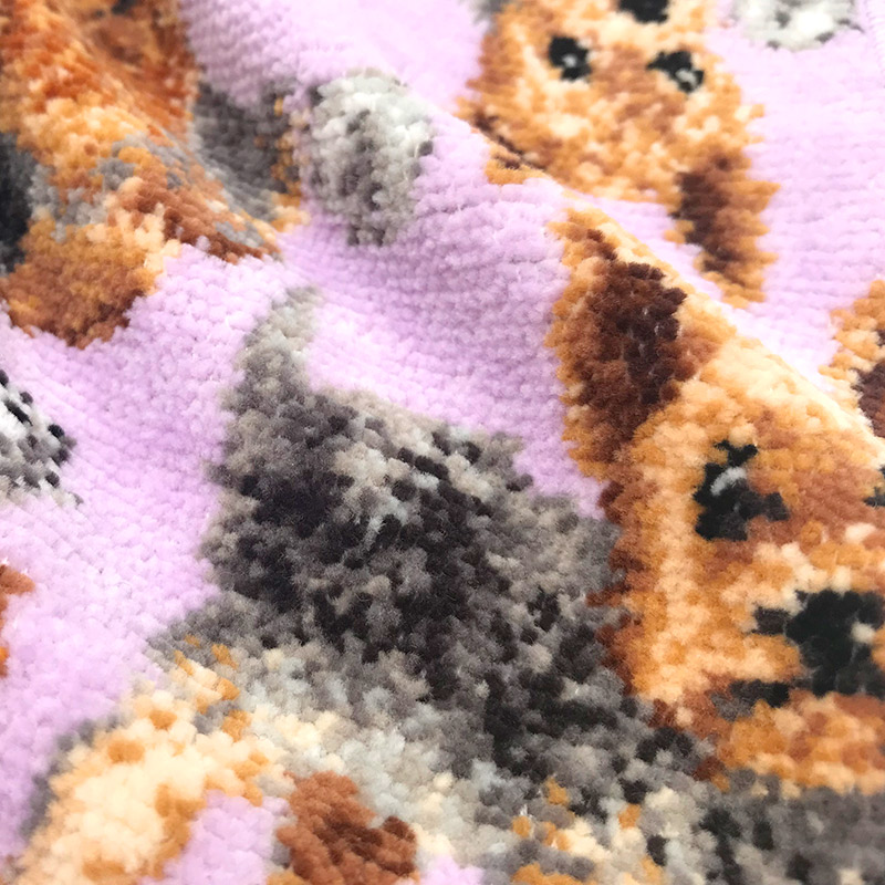 EjPetit ヨークシャー