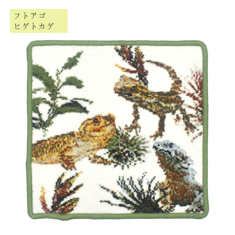 exo3004-5111 ヒョウモントカゲモドキ エキゾチックアニマルシリーズ