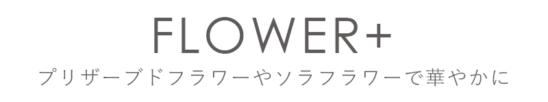 おすすめのプリザーブドフラワーやソラフラワー