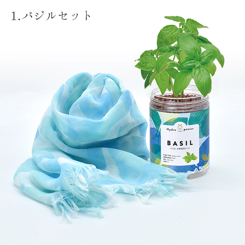 greenpetset ショール＆栽培キット ギフトセット