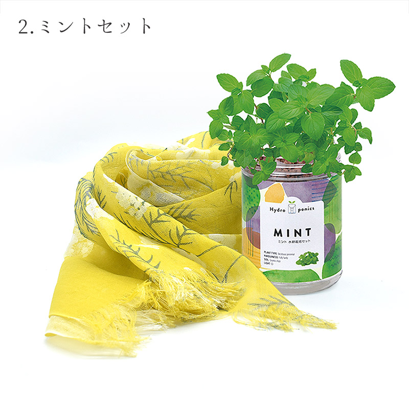 greenpetset ショール＆栽培キット ギフトセット
