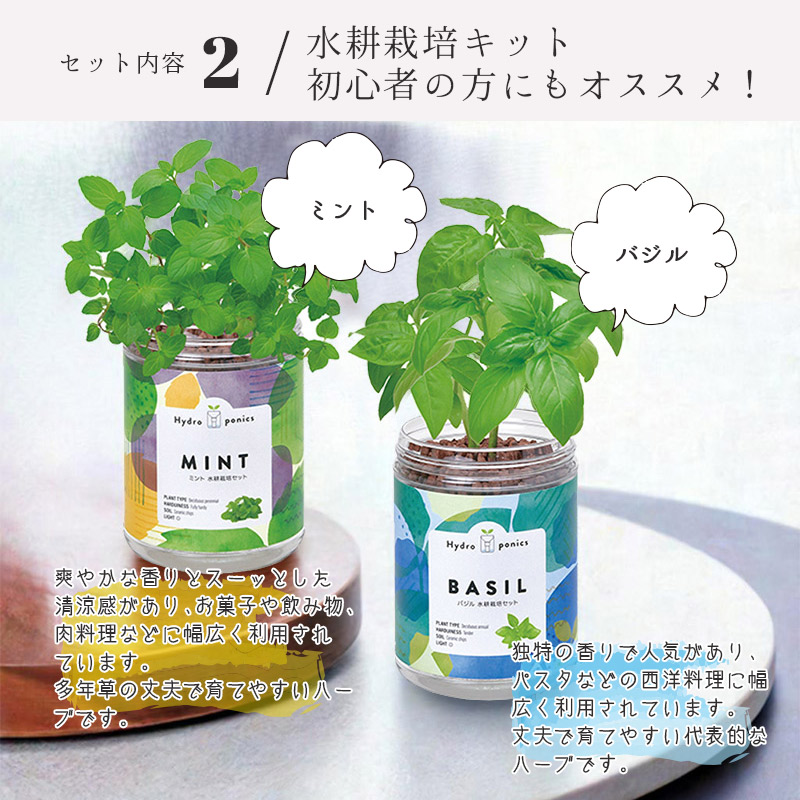 greenpetset ショール＆栽培キット ギフトセット