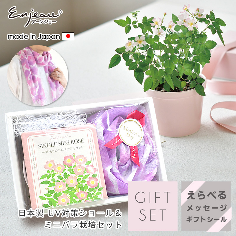 miniroseset-seaPK ショール＆ミニバラ ギフトセット