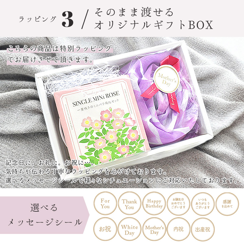 miniroseset-seaPK ショール＆ミニバラ ギフトセット